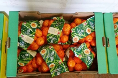 Poziv proizvođačima za samostalan plasman mandarina na javnim površinama diljem Hrvatske