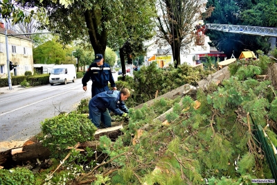 Uklonjena stabla na dječjem igralištu pored &#039;starog rodilišta&#039; u Metkoviću