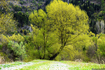 FOTO: Šetnja koševskim nasipom