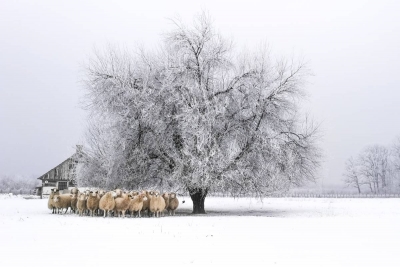 Pobjednici foto-natječaja Volim svoju županiju 2020. godine