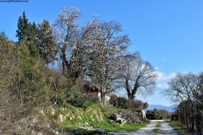 Šetnja od Vida, Vrešnice, Orepka i natrag