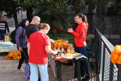 &#039;DANI NERETVE U DUBROVNIKU&#039;: Kupite mandarine izravno od proizvođača