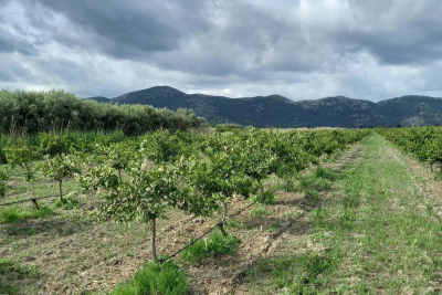 PROJEKT GECO2 Stručnjaci Agronomskog fakulteta u suradnji s poljoprivrednicima iz doline Neretve provode prva mjerenja