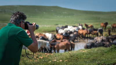 Otvoren izbor za najbolje ruralne fotografije u 2024. godini – nominirajte svoju