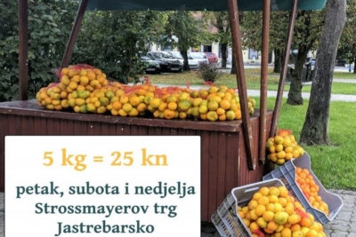 Opuzenske mandarine na Strossu