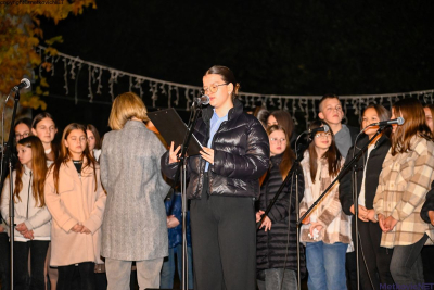 GRADSKI PARK: DAN SJEĆANJA NA ŽRTVU VUKOVARA I ŠKABRNJE