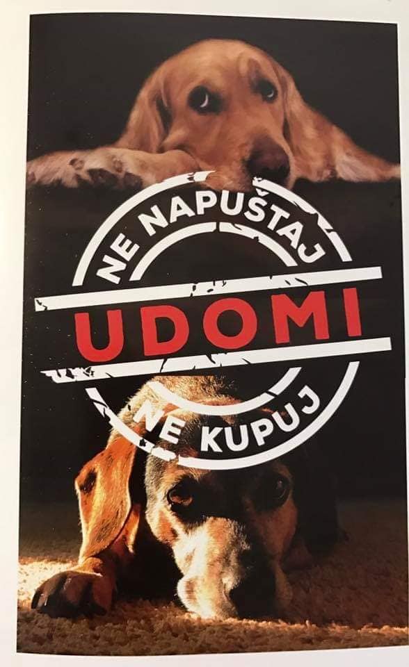 Udomi