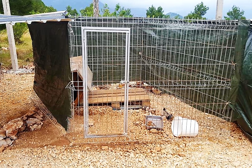 101960041 1960948940701704 5505817227846221824 n