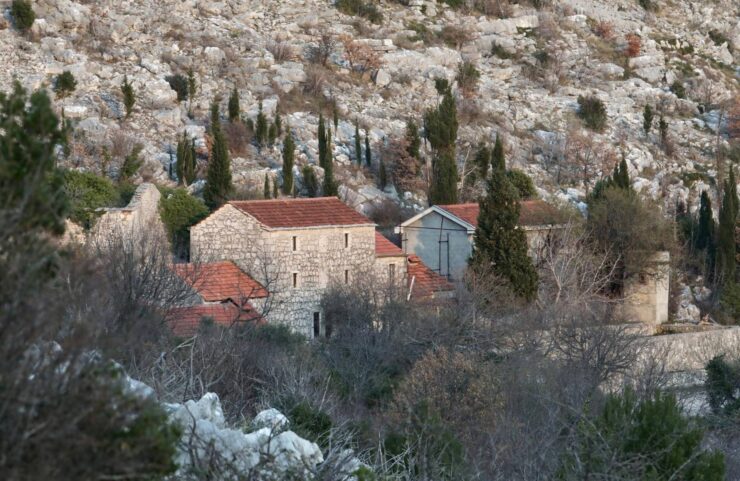 Vidonje 1 740x481 1