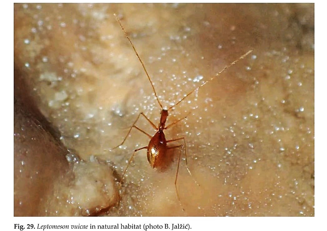 WhatsApp Image 2021 08 02 at 12.26.34