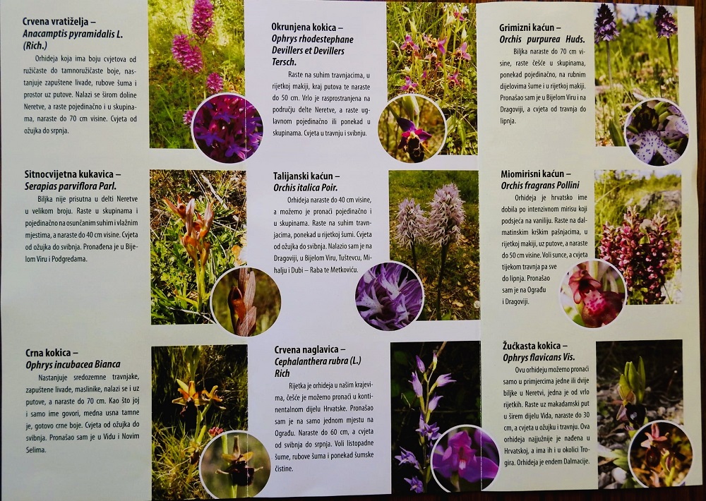 272987266 4939314319445341 8376506596371484613 n