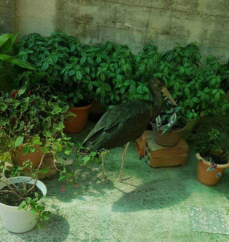 365293084 632809708996831 5839393556598995952 n